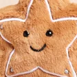 Close Up of Jellycat Amuseables Star Cookie Soft Toy