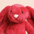 Close up of Jellycat Bashful Cranberry Bunny Soft Toy