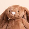 Close up of Jellycat Bashful Nutmeg Bunny Soft Toy