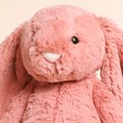 Close Up of Jellycat Medium Bashful Sorrel Bunny Soft Toy Face