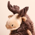 Jellycat Merrick Moose Soft Toy on a neutral background with close up of face details