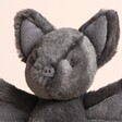 Close Up of Ooky Bat Soft Toy