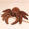 An eight legged arachnid with a furry body and legs and a smiling face