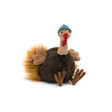 Jellycat Theo Turkey Soft Toy with a red beak detail and green hat