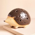 Ceramic Mr Prickles LED Hedgehog Light on a Beige Background.