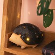 Ceramic Mr Prickles LED Hedgehog Light