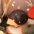 Ceramic Mr Prickles LED Hedgehog Light