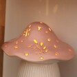 Close Up of Ceramic LED Pink and White Toadstool Light