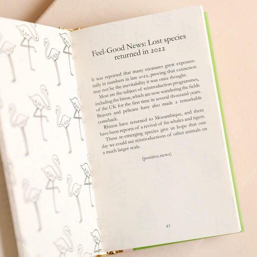 This Book Will Make You Feel Better (100 Pages to Boost Your Mood)