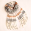 Terracotta Stripe Winter Scarf on a Beige Background