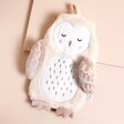 Sass & Belle Olivia Owl Hot Water Bottle on neutral colour background