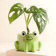 Sass & Belle Mini Frog Sitting Planter with Plant