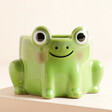 Sass & Belle Mini Frog Sitting Planter Close Up