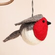 Classic Robin Hanging Decoration