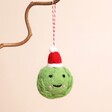  Santa Sprout Hanging Decoration