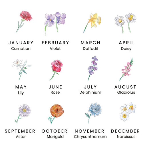 Birth Flowers by Month Birth Flowers by Month