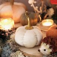 Cream Velvet Pumpkin Ornament