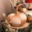 A Soft Pumpkin Shaped Ornament Standing Among Seasonal Foliage