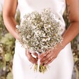 Dorothy Dried Flower Bridal Wedding Bouquet