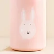 Close up of Trixie Mrs.Rabbit Water Bottle Rabbit Illustration