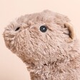 Close Up of Warmies Capybara Microwavable Soft Toy