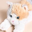 Close Up of Warmies Ginger Cat Microwavable Soft Toy