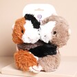 Warmies Warm Hugs Guinea Pigs Microwavable Soft Toy hugging on a neutral background