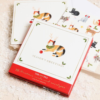 The Art File Set of 10 Cat Merry Christmas Cards 