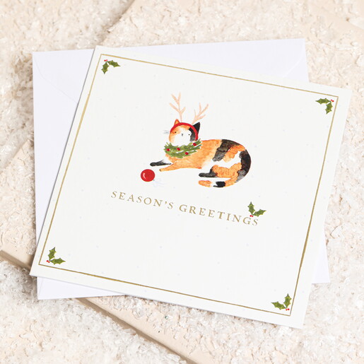 The Art File Merry Christmas Cat Cards 10 Pack