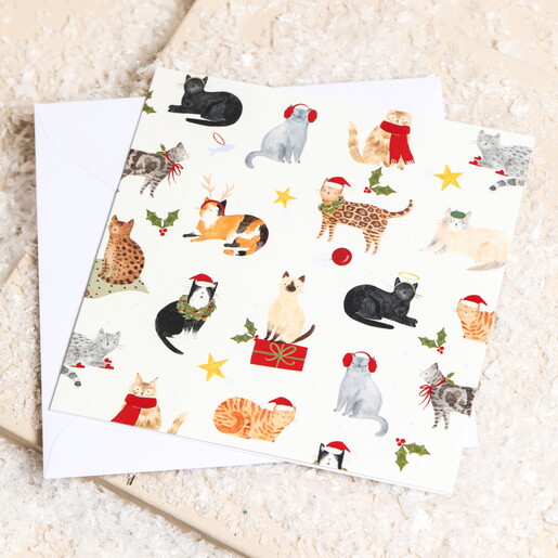 The Art File Merry Christmas Cat Cards 10 Pack