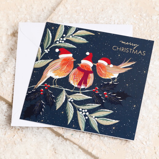 The Art File Robin Merry Christmas Cards 10 Pack in blue and redThe Art File Robin Merry Christmas Cards 10 Pack in blue and red