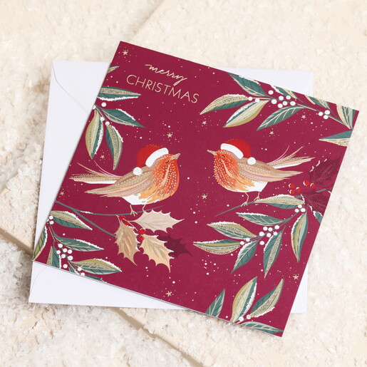 The Art File Robin Merry Christmas Cards 10 Pack in blue and red