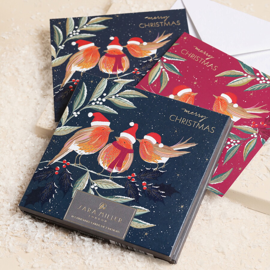 10 Pack of Robin Merry Christmas Cards | The Art File | Lisa Angel