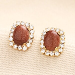 Brown Stone and Crystal Statement Stud Earrings