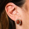 Brown and Crystal Statement Stud Earrings