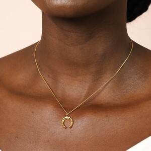 Stainless Steel Horseshoe Pendant Necklace in Gold