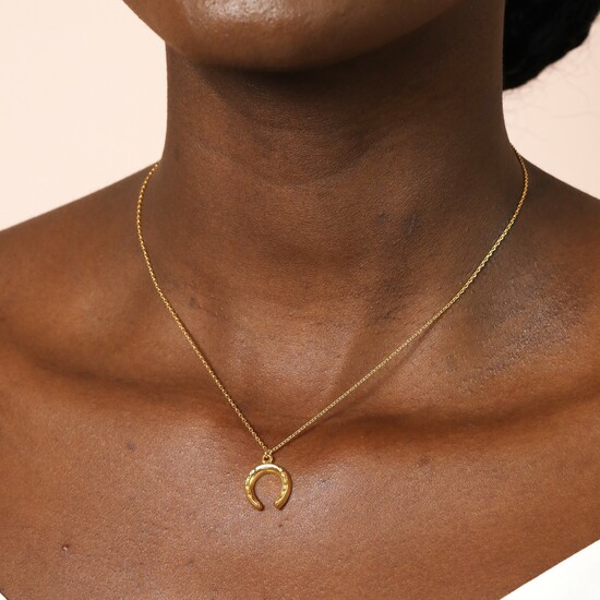 Stainless Steel Horseshoe Pendant Necklace in Gold