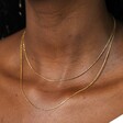 Double Layer Snake Chain Necklace in Gold
