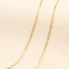 Double Layer Snake Chain Necklace in Gold