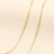 Double Layer Snake Chain Necklace in Gold
