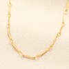 Fish Chain Necklace in Gold