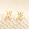 Tiny Crystal Centre Star Stud Earrings in Gold