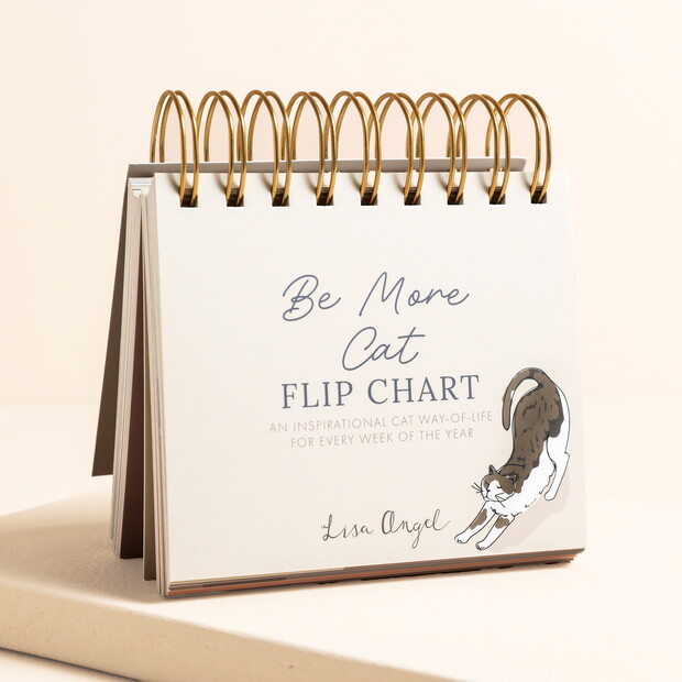 Be More Cat Desktop Flip Chart Be More Cat Desktop Flip Chart