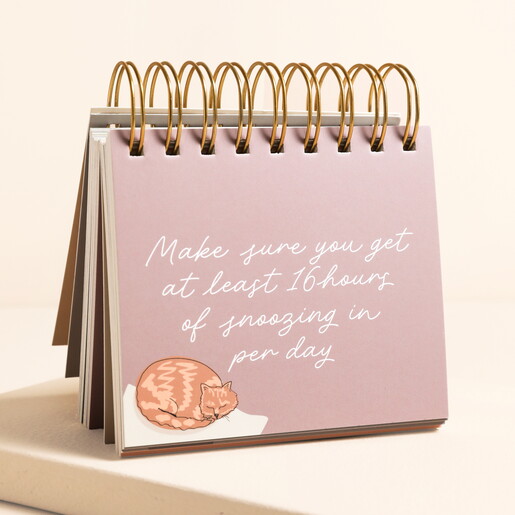 Be More Cat Desktop Flip Chart