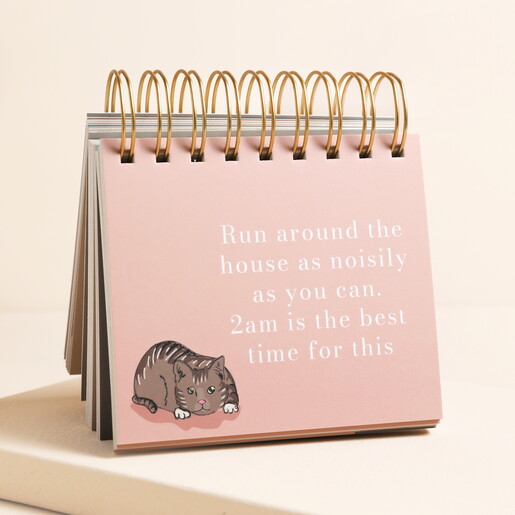 Be More Cat Desktop Flip Chart