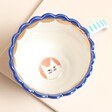 House of Disaster Catnip Caffeine Cat Mug
