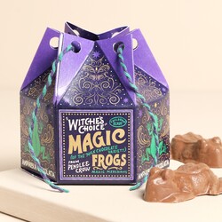 The Chocolate Gift Co. Chocolate Frog