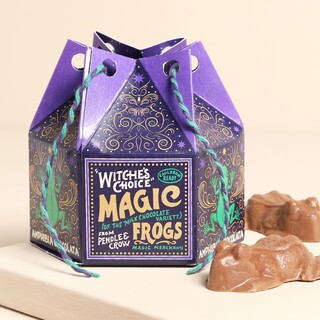 The Chocolate Gift Co. Chocolate Frog