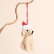 Festive Santa Hat Felt Dog Hanging Decoration
