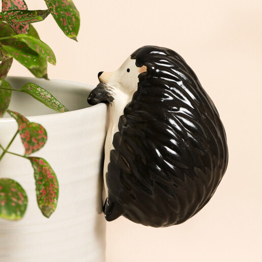 Ceramic Hedgehog Planter Hanger